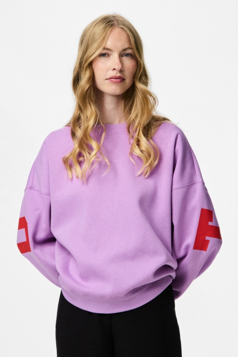 Pieces pcfany ls o-neck oversized sweat jr